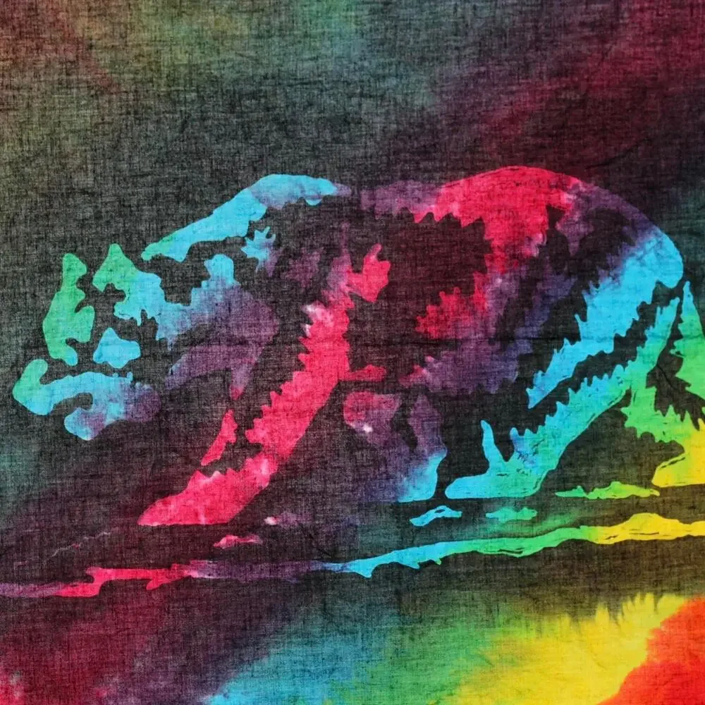 Bandana Handcrafted California Bear SoCal Hippie Rainbow Colorful Head Cover